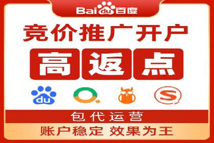 SEM托管服务，成功案例深度分析